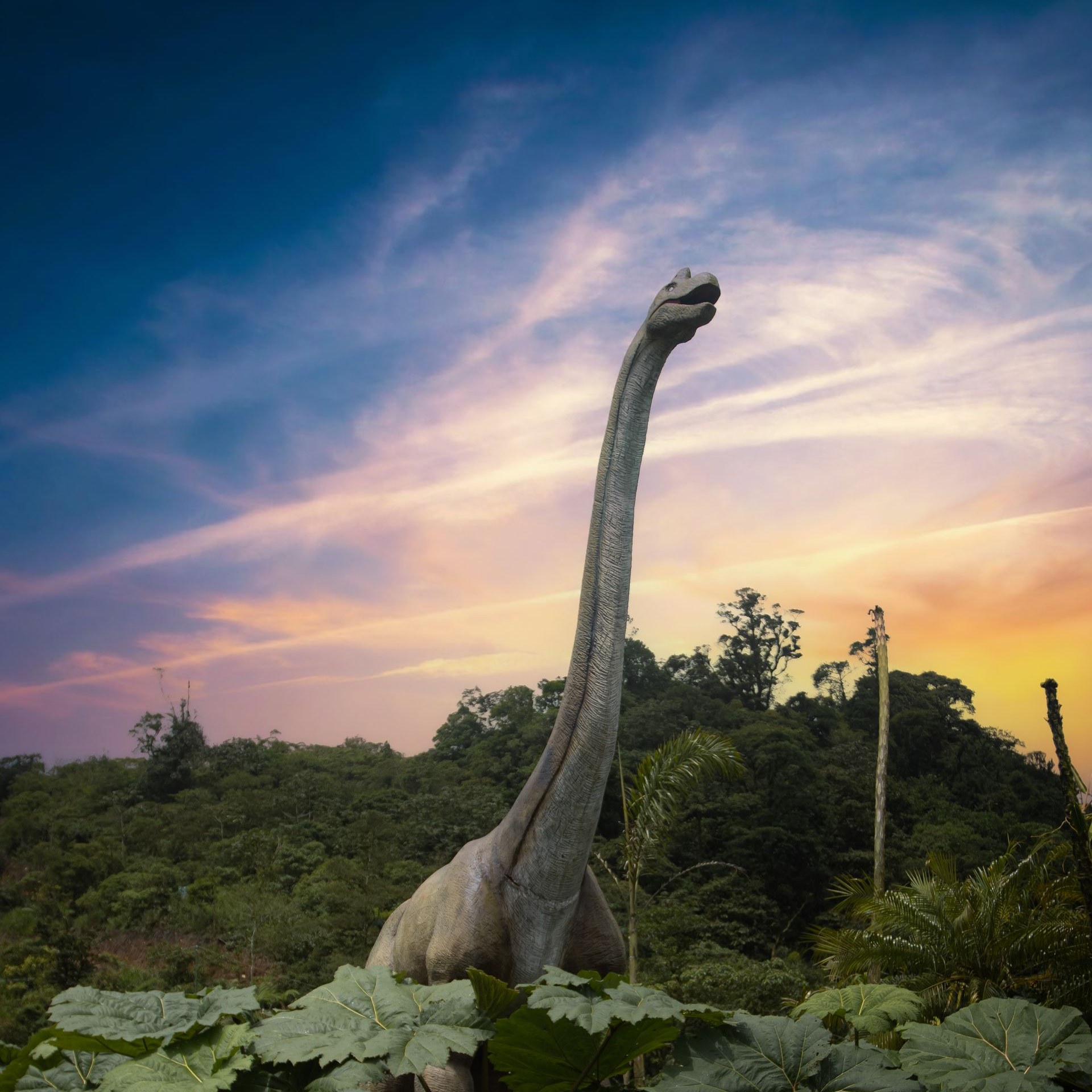 ARK